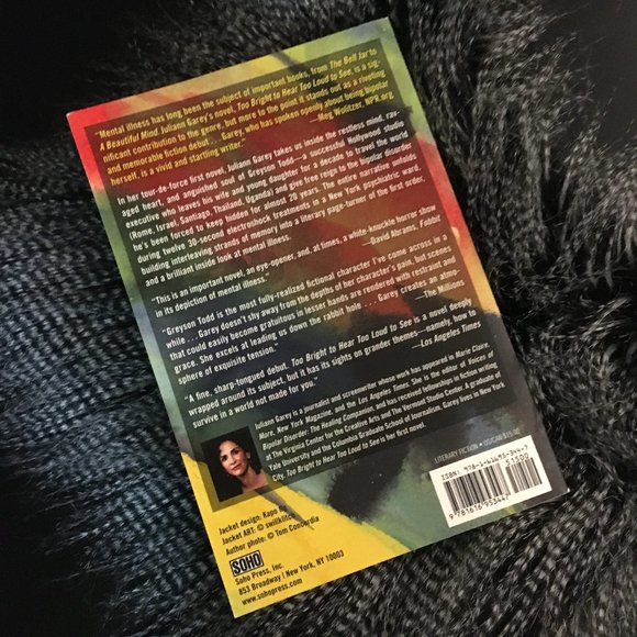 'Too Bright To Hear, Too Loud To See' Novel By Juliann Garey - Picture 3 of 4